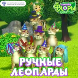 Photo 1 2026 03 10 15 23 03